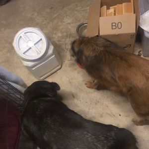 Meet your Posher, Austin